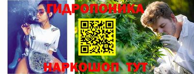 СК Кунгур