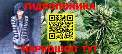 spice Кулебаки