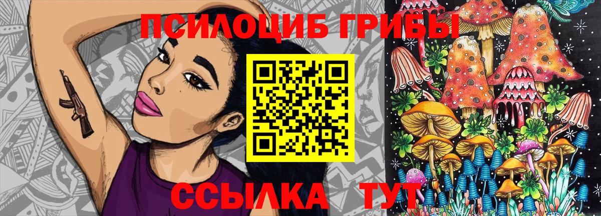 Галлюциногенные грибы ЛСД  Псилоцибиновые грибы Magic Shrooms  Заволжье  Вход с VPN 